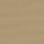 2038 BEIGE