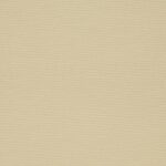 CLASSIC REFLEX BEIGE 2103