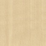 D300 WIDE CHINE YELLOW