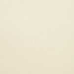 BERLIN VANILA 0300 2m [100]