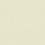 BO 4205 LEMON 056 2.5m