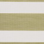 ZEBRA CYPRUS GRASS 0510 2.5m [75]