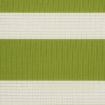 ZEBRA ZAKYNTHOS LIME 1300 2.5m [125]