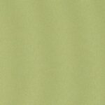 BO 4206 GREEN 205 2.5m