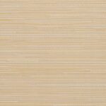 TRIAS-510-2m-600x900px